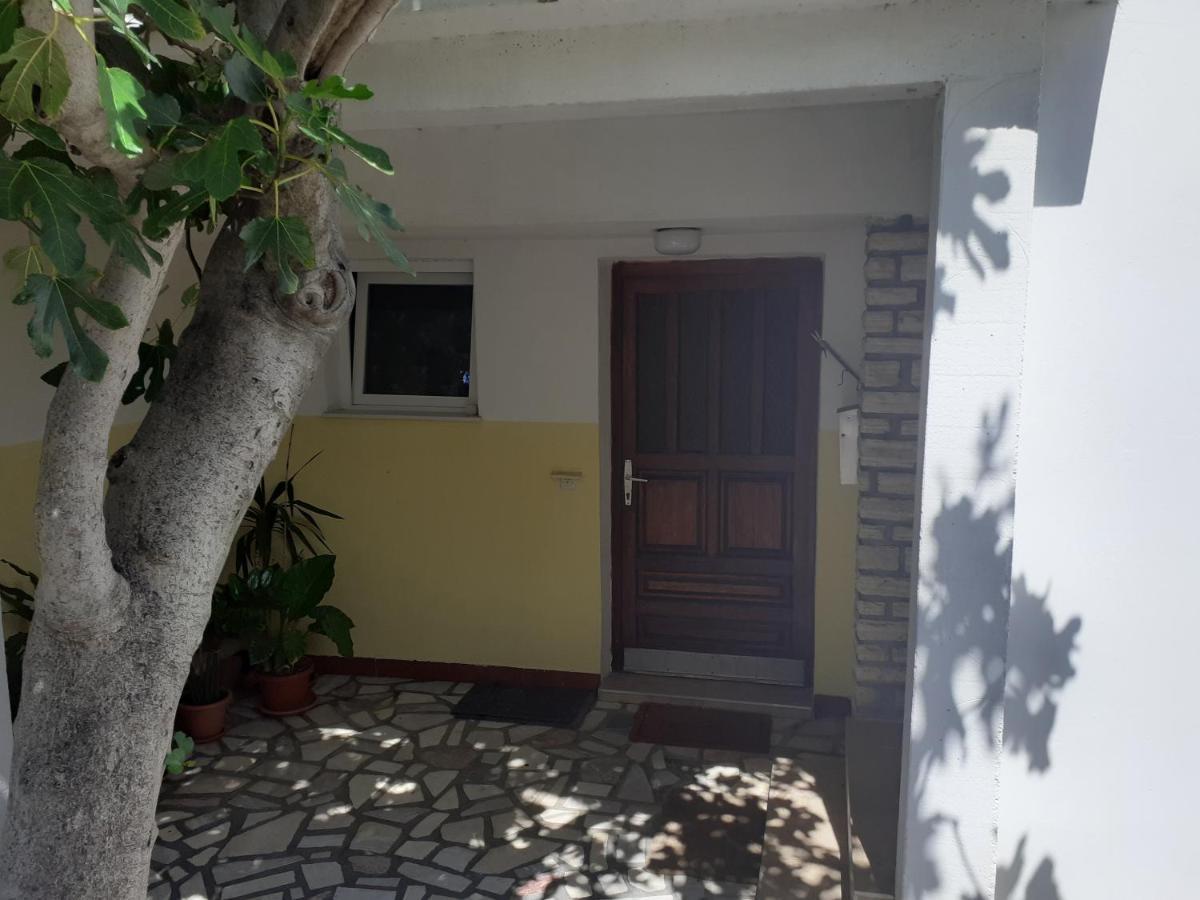 Apartmani Karuza Novalja Dış mekan fotoğraf